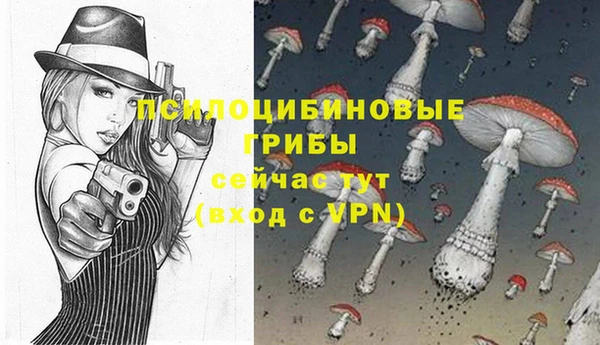 a pvp Майский
