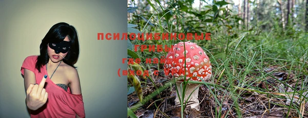 винт Магас